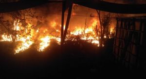 Diduga Gudang Minyak Ilegal Terbakar Hebat di Kawasan Jalan Lingkar Barat